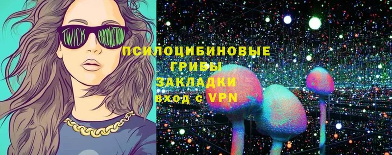 Галлюциногенные грибы Magic Shrooms  KRAKEN маркетплейс  Закаменск 